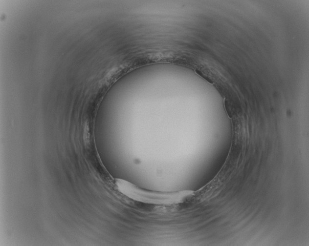 X0000073920700200609082238