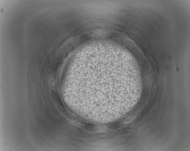 X0000073920701200609082238