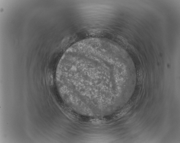 X0000073920703200609082238