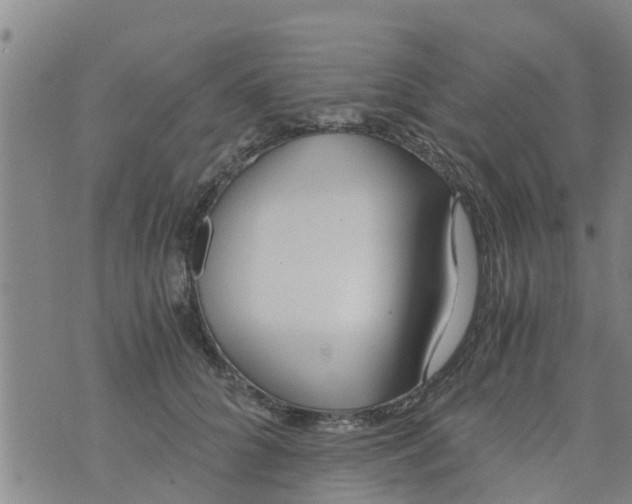 X0000073920704200609082238