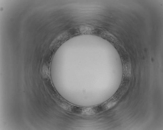 X0000073920705200609082238