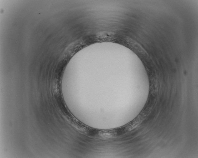 X0000073920706200609082238