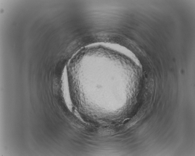 X0000073920707200609082238