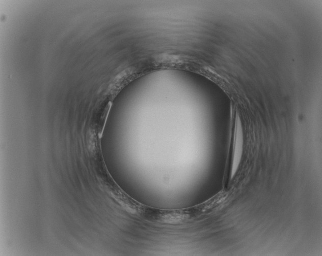 X0000073920708200609082238