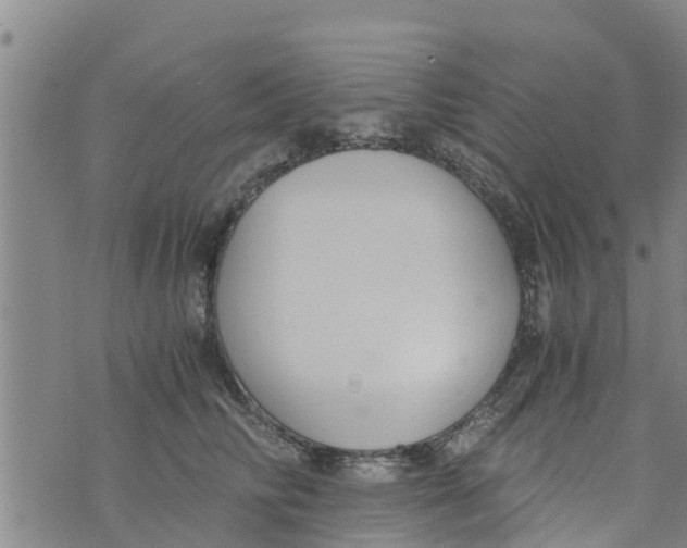 X0000073920710200609082238