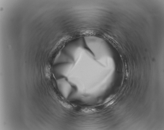 X0000073920712200609082238