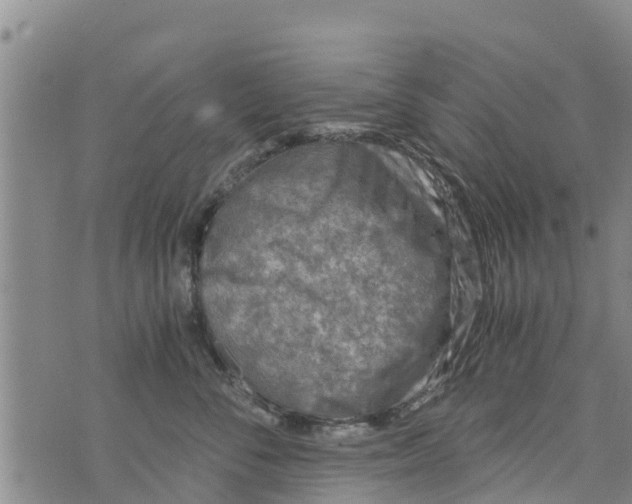 X0000073920716200609082238