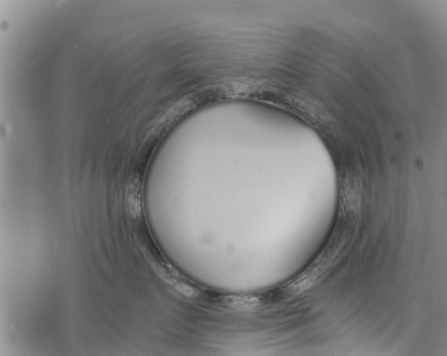 X0000073920719200609082238