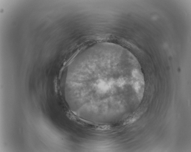 X0000073920720200609082238