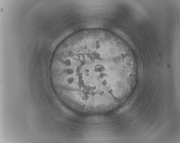 X0000073920721200609082237