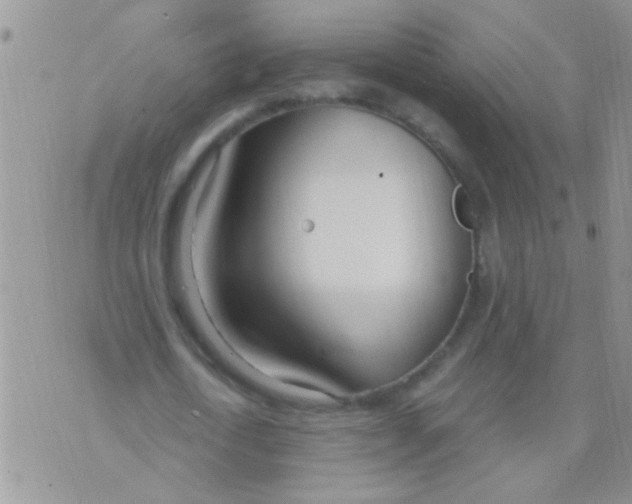 X0000073920722200609082237