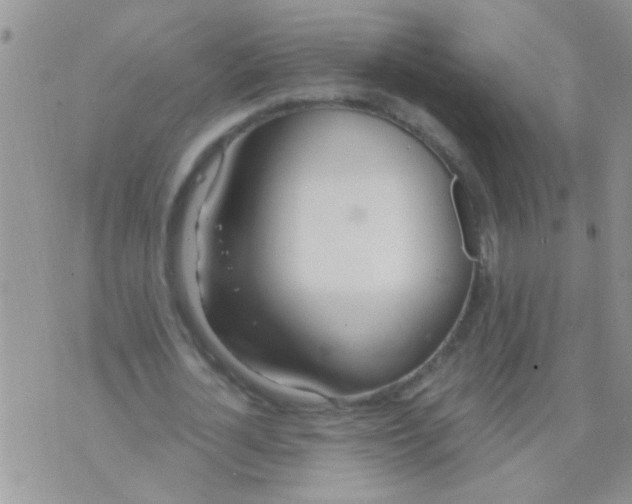 X0000073920724200609082237