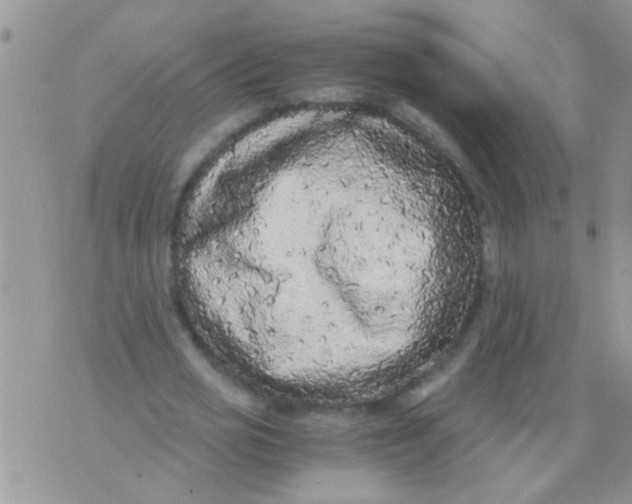 X0000073920725200609082237