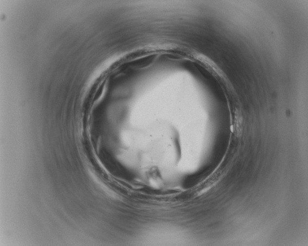 X0000073920726200609082237