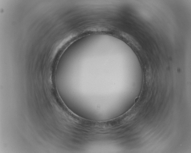 X0000073920727200609082237