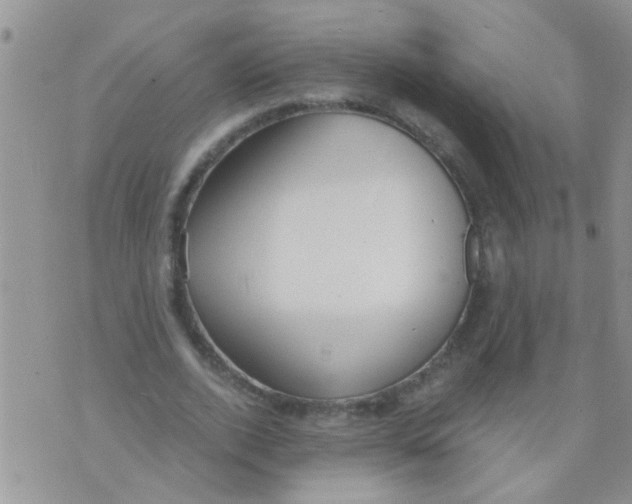 X0000073920728200609082237