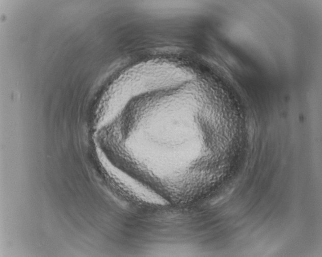 X0000073920729200609082237