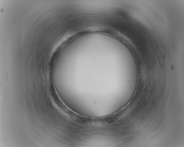 X0000073920730200609082237