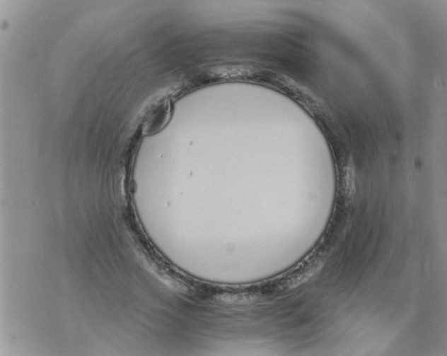 X0000073920733200609082237