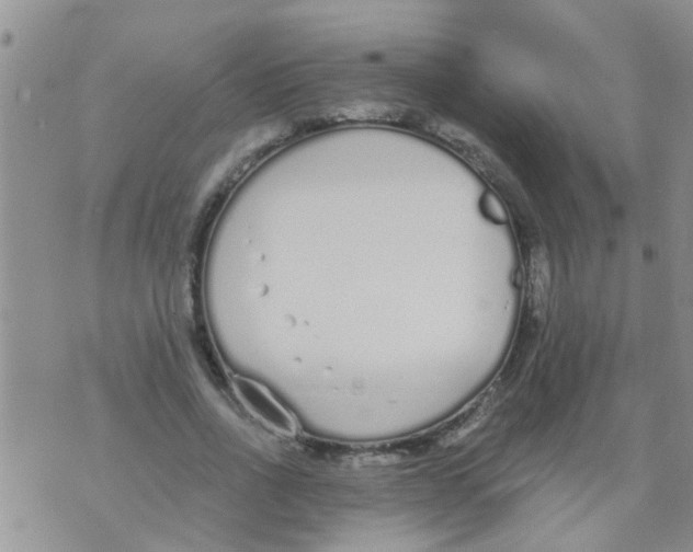 X0000073920734200609082237