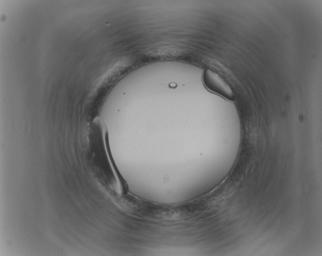 X0000073920735200609082237