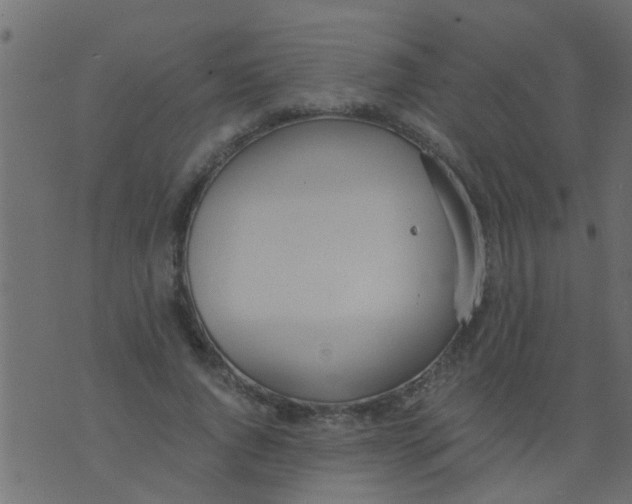 X0000073920736200609082237