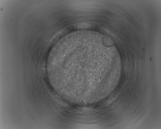 X0000073920737200609082237