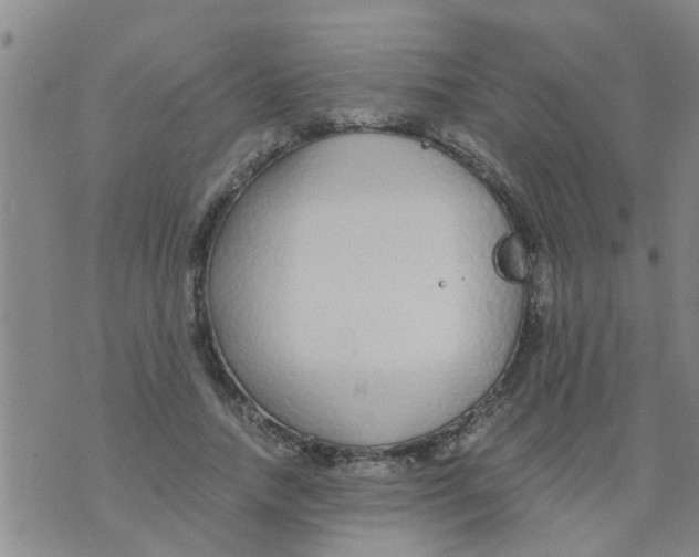 X0000073920738200609082237