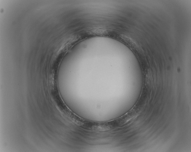 X0000073920739200609082237