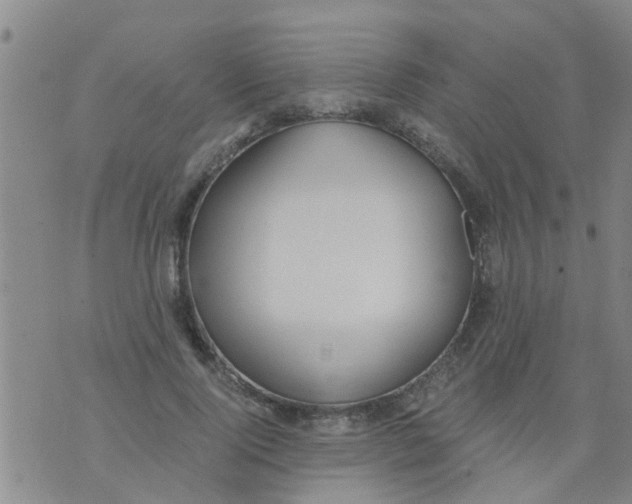 X0000073920740200609082237