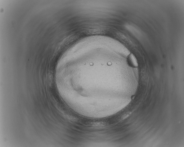 X0000073920741200609082237