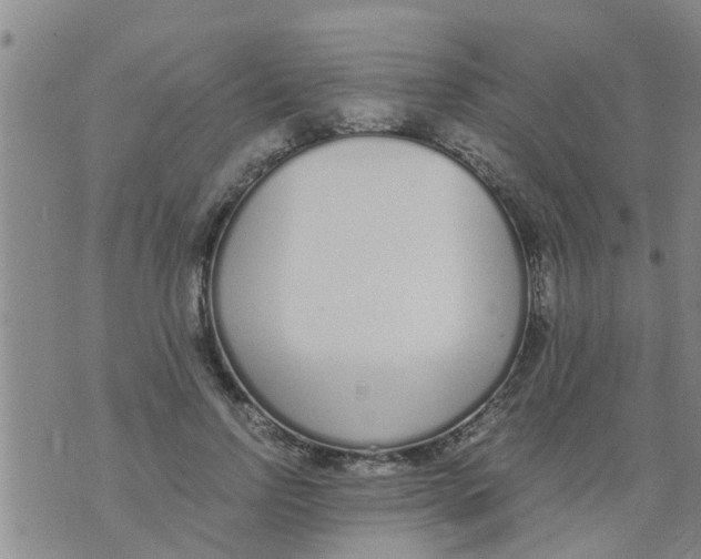 X0000073920742200609082237