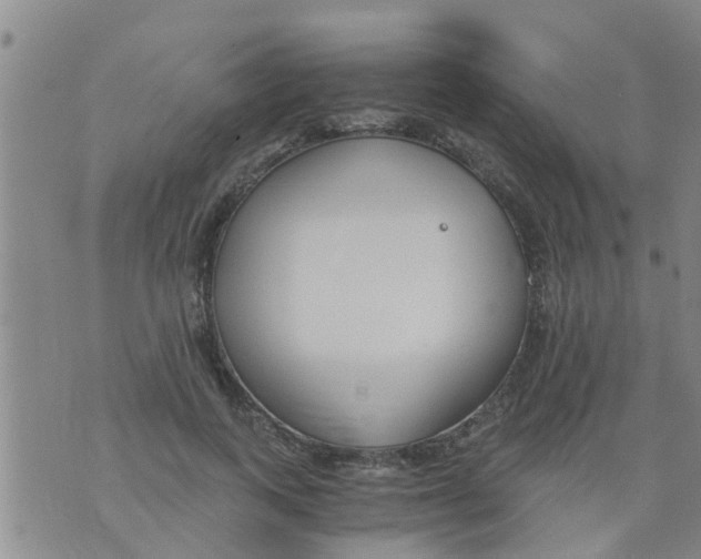 X0000073920743200609082237