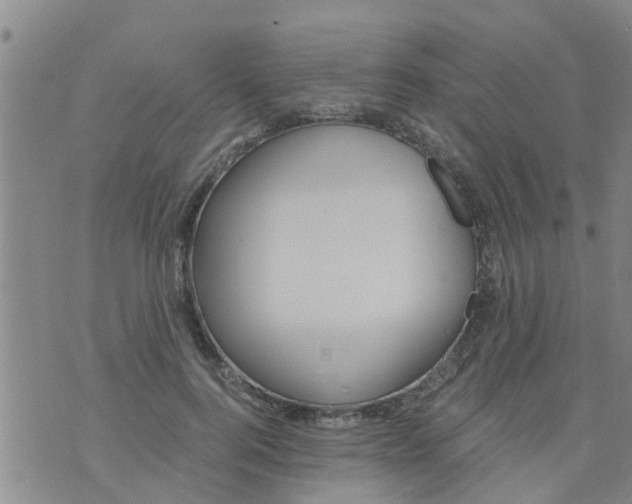 X0000073920744200609082237