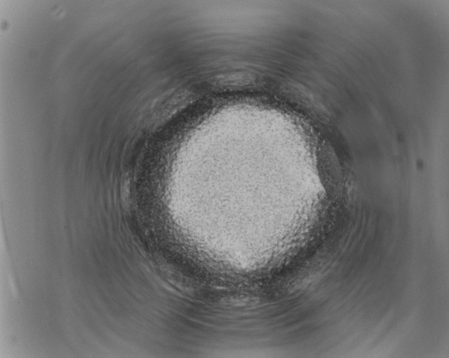 X0000073920745200609082237