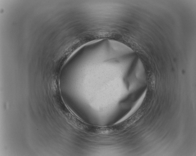 X0000073920746200609082237