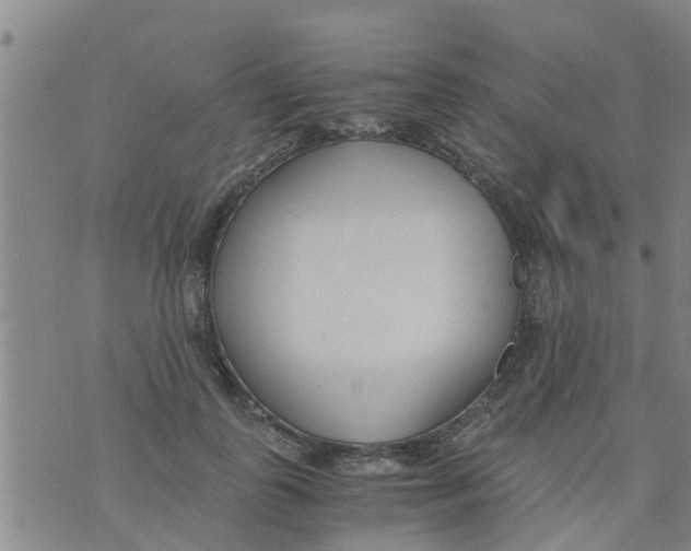 X0000073920747200609082237