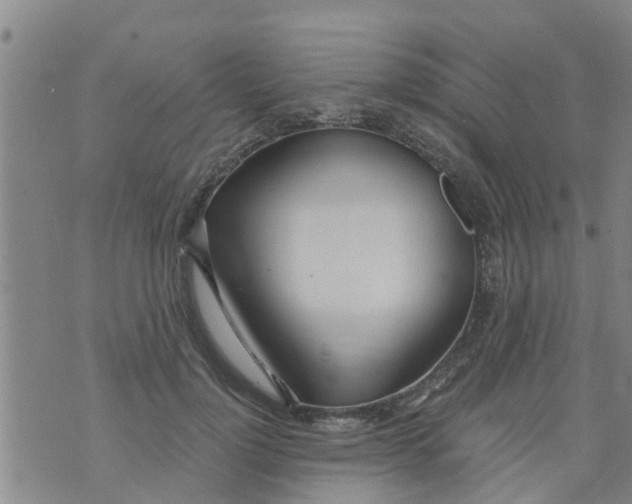 X0000073920748200609082237