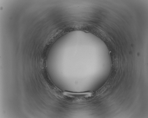 X0000073920750200609082237