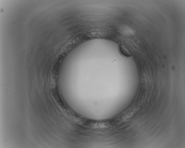 X0000073920751200609082237