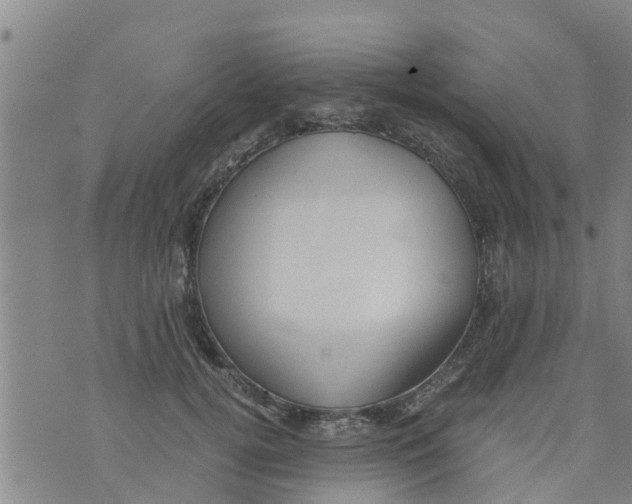 X0000073920752200609082237