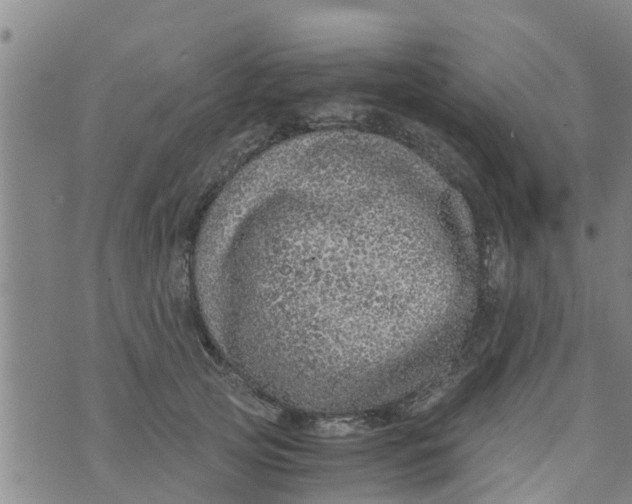 X0000073920753200609082237