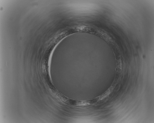 X0000073920754200609082237