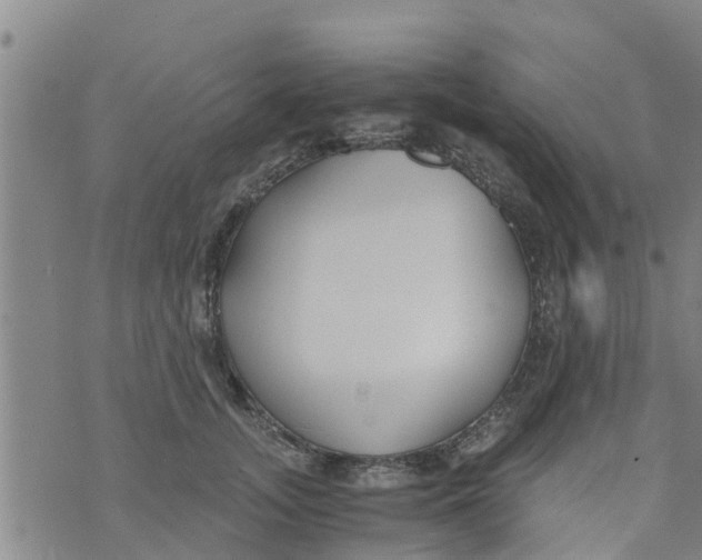 X0000073920755200609082237