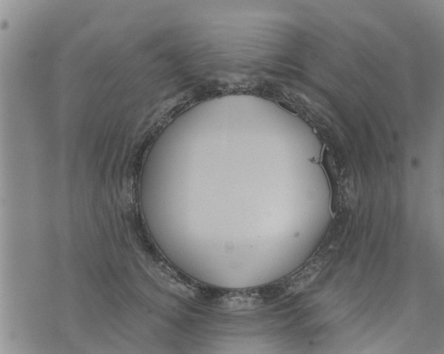 X0000073920756200609082237