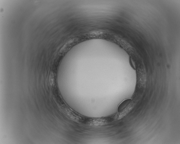 X0000073920758200609082237