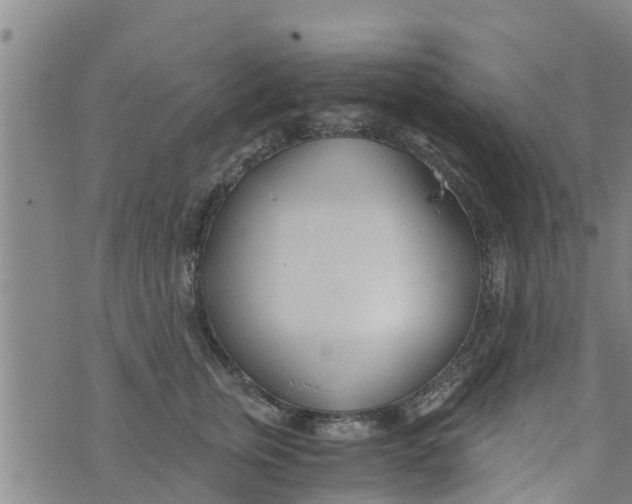 X0000073920759200609082237