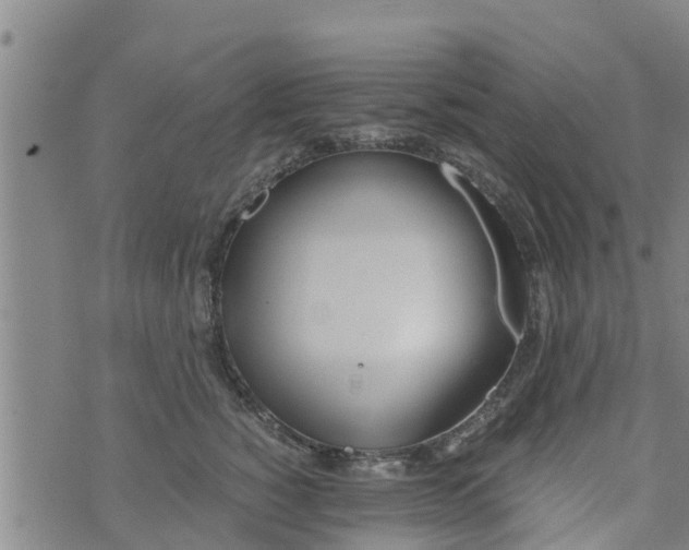 X0000073920760200609082238