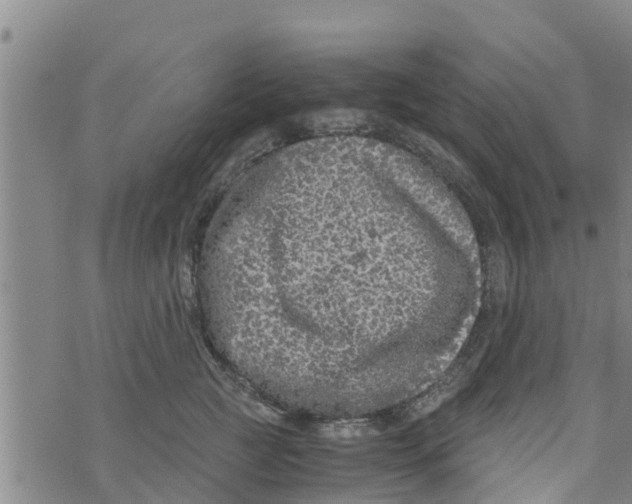 X0000073920761200609082238