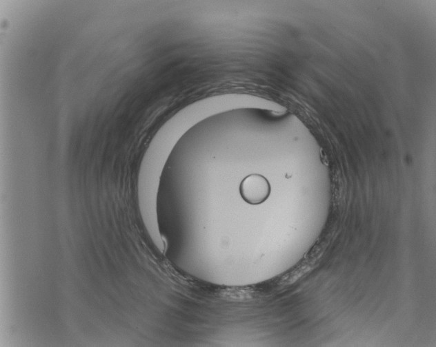 X0000073920762200609082238